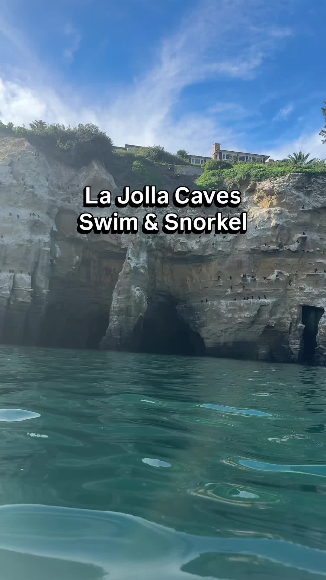 La Jolla Caves Swim & Snorkel